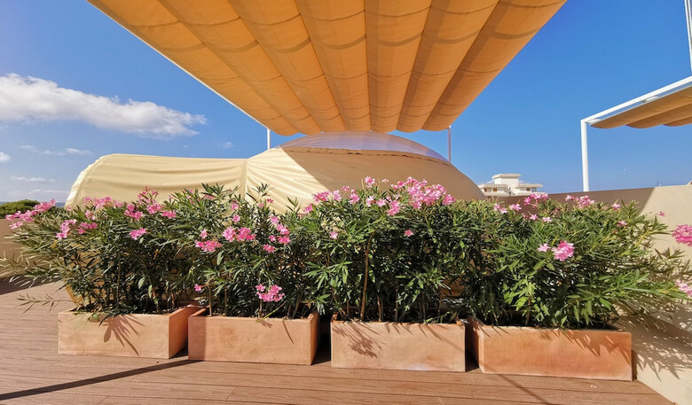 Hotel Tent Capi Playa