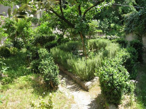 Hostal Guesthouse Vrlic