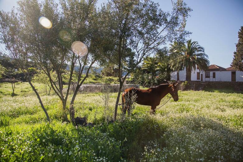 Hotel Se�orio Del Valle