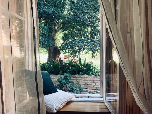 Apartamentos Studio Noemi