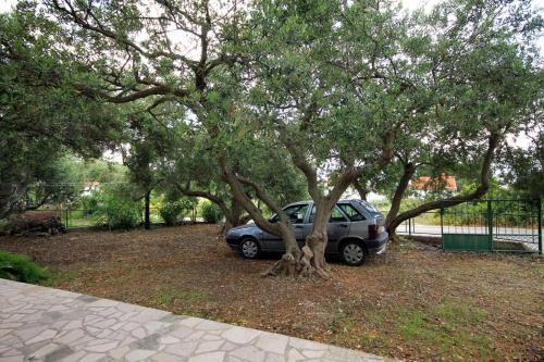 Apartamentos Studio Zavala 593a