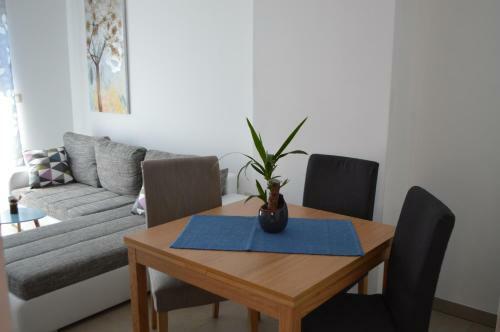 Apartment Bozac