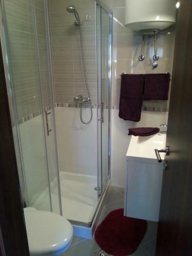 Apartment Bozac