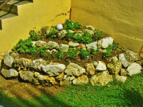 Apartment Pasa
