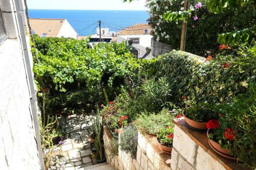 Hostal House Cvetka