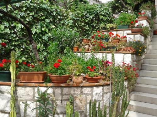 Hostal House Cvetka
