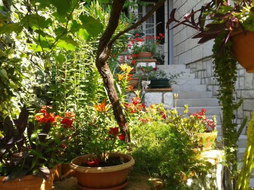 Hostal House Cvetka