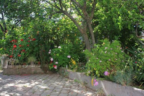 Apartment Orebic 10093a