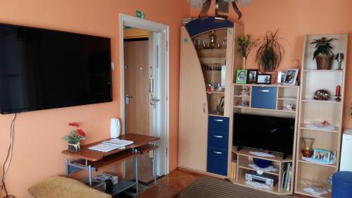 Apartment Moni