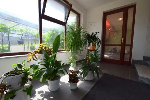 Apartment Mirjana