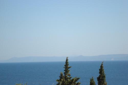 Hostal Villa Mila
