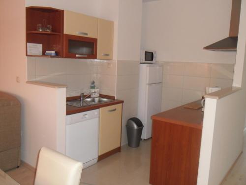 Apartments Robi