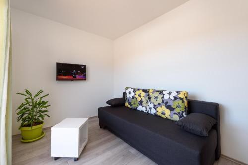 Apartments Robi