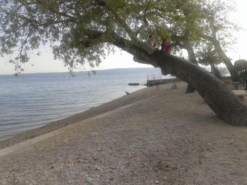 Apartamentos Villa Stella