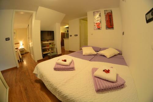 Apartment Arpa