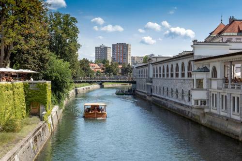 Apartment Fine Dalmatinova