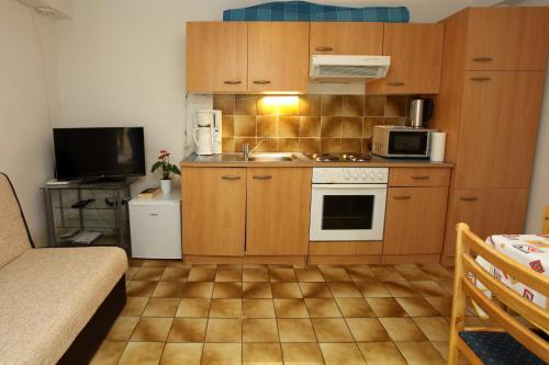 Apartment Lemut