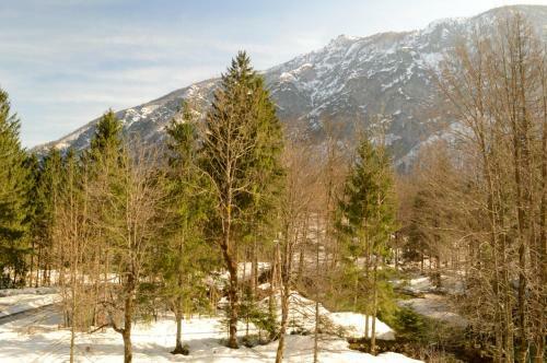 Vila Park B&B - Adults Only
