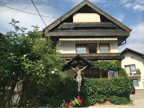 Apartmaji Su?nik
