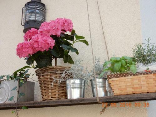 Hostal Guest House Parma