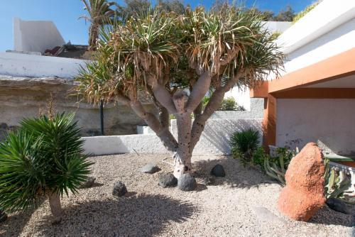 Apartamento Duplex Turisur