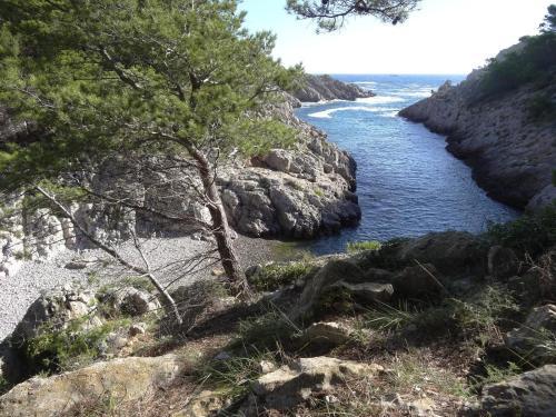 Apartamentos Riells Park