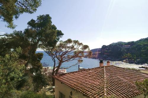 Apartamento Tamariu 3
