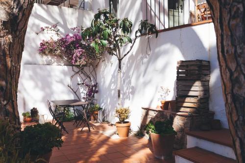 Apartamento Tamariu 3