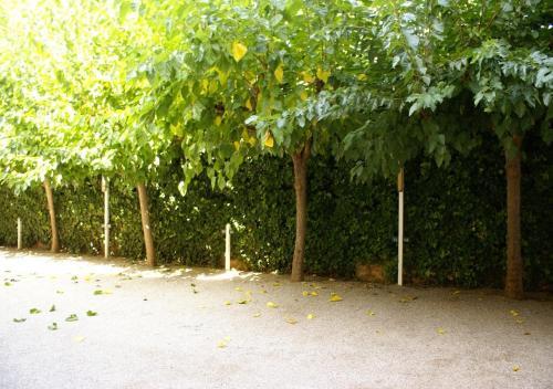 Apartment In Sitges