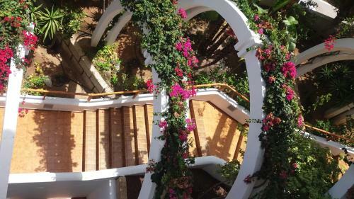 Apartamento Parque Royale