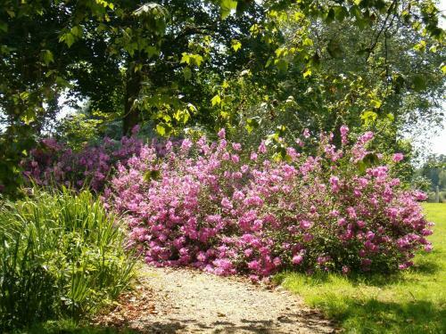 Holiday Home Ch�teau De Bouc�el Mont Saint Michel