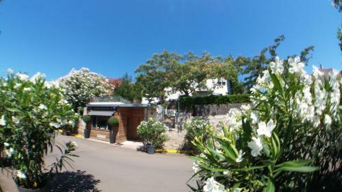 Hotel Le Pinarello