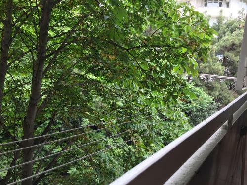 Sweet Apartment In Tbilisi Center