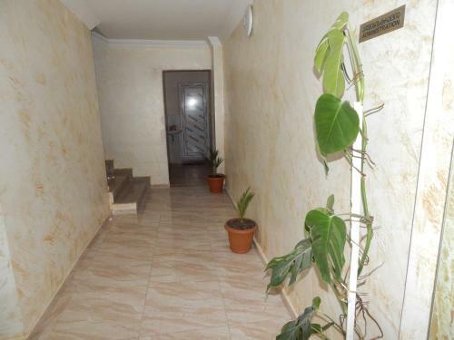 Hostal Hotel Batumi Inn