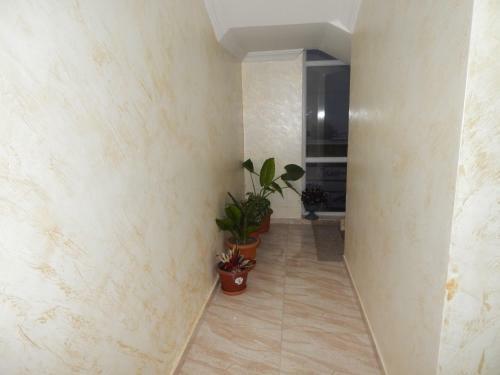 Hostal Hotel Batumi Inn
