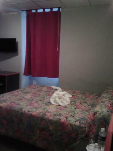 Hotel Central