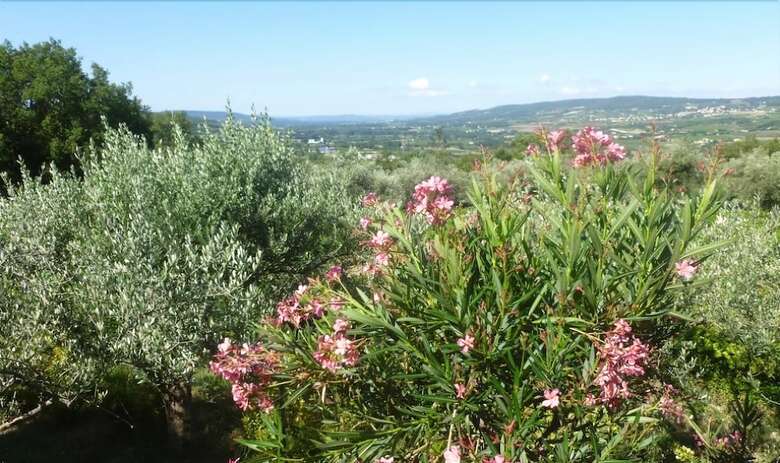 Hotel Le Saint Victor