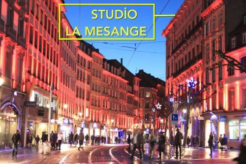 Apartamento Studio La M�sange