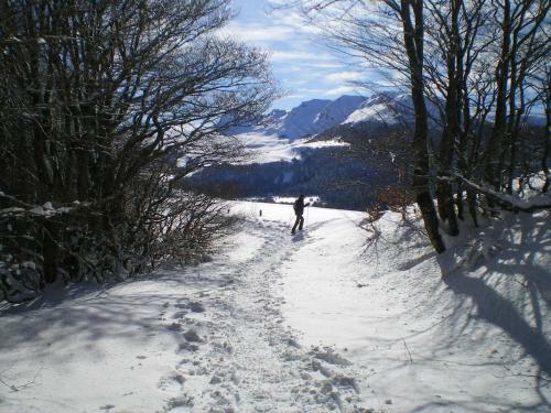 Bed & Breakfast Chambre D'h�tes La Maison De Barrouze
