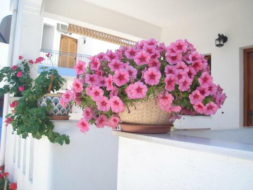 Apartamento Maria Studios