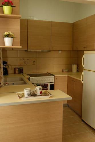 Steda Boutique Apartment Acropolis