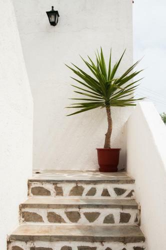 Hotel Manousos' Rooms