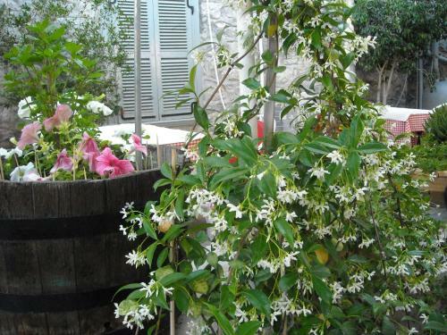 Hostal Theano Guesthouse