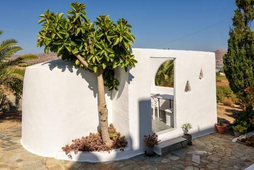 Apartamento Agnanti Studios