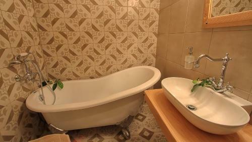 Hotel Mesta Mastic