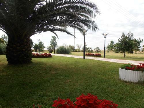 Aparthotel Oasis