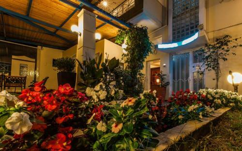 Aparthotel Oasis
