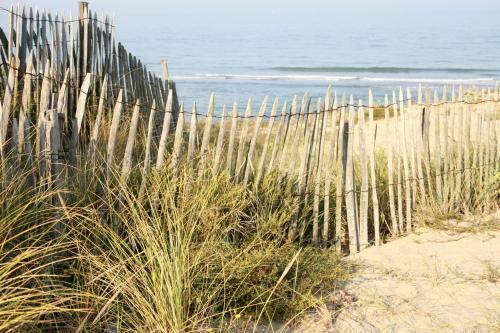 Bed & Breakfast Le Lys Des Sables