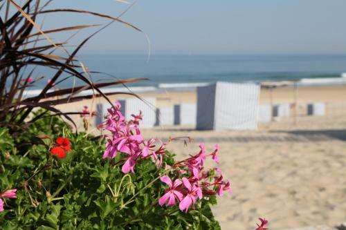 Bed & Breakfast Le Lys Des Sables