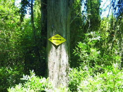 Hotel Mediterranean Blue